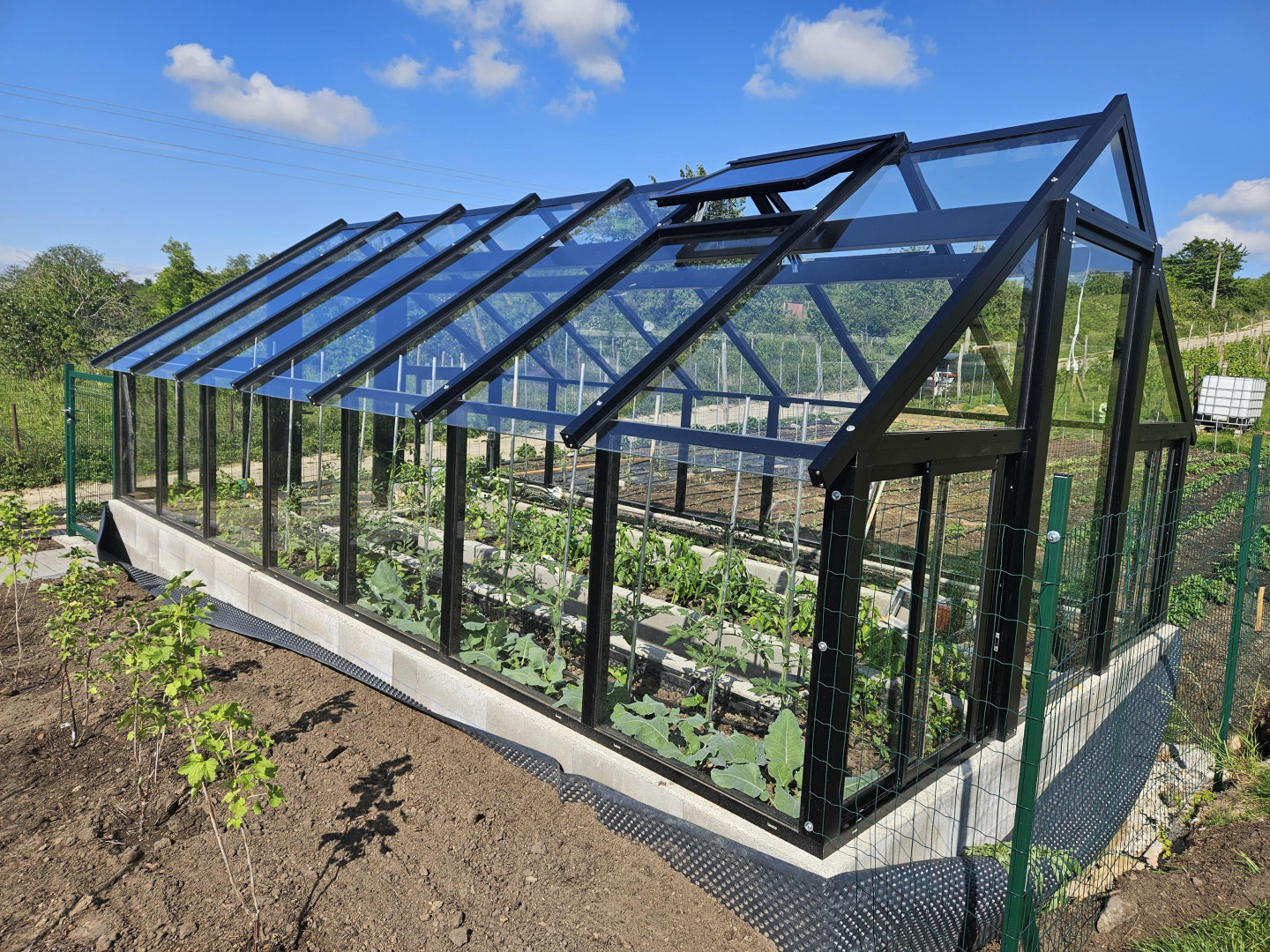 A modern glass greenhouse with a black frame and vegetables growing in the garden.